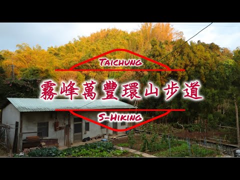 S步道｜台中｜萬豐環山步道｜茂林修竹展望好｜霧峰區