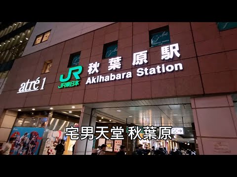 宅男天堂 秋葉原 |一堆賣公仔的店 | 街口兩旁都是女僕咖啡的服務生發傳單