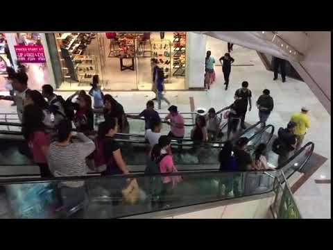 People on Escalator | Copyright Free Video Footage