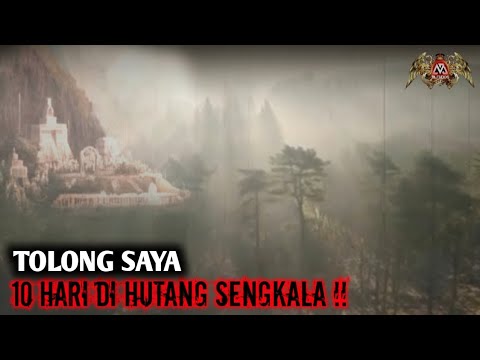 SEMAKIN MENCEKAM DIHUTAN SENGKALA