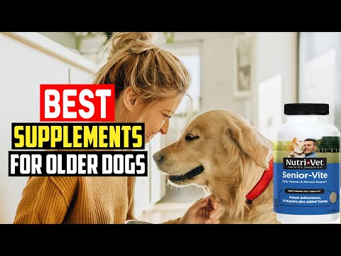 ✅ Top 5 Best Supplements for Older Dogs in 2023