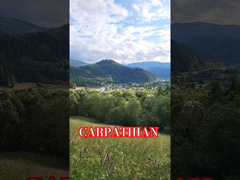 #carpathian #nature #ukraine #shorts