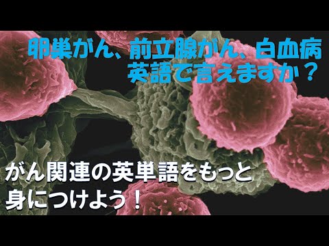 がん関連用語②: 医療英単語シャドーイング・クイックレスポンス No.9