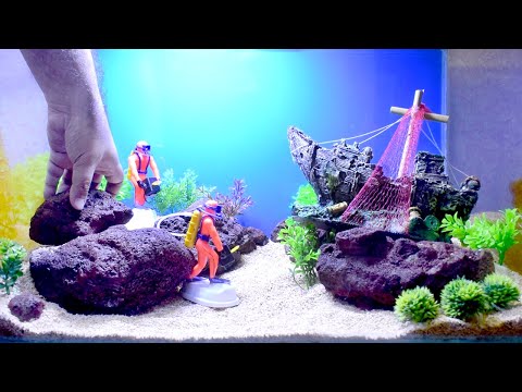 Step-by-Step Aquarium Setup & Stunning Decoration Ideas for Beginners!