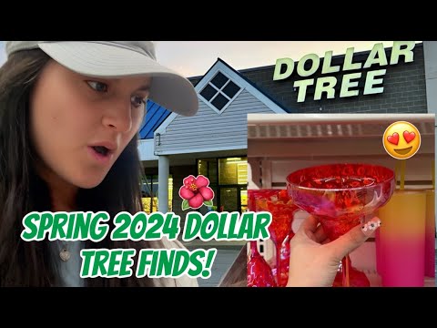 New Finds at the Dollar Tree | Spring 2024