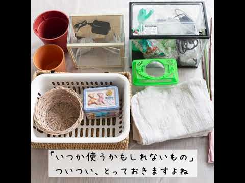 【連続30秒劇場　愛の汚部屋脱出】第五話分類（後編）（全８話）