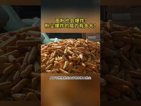 面粉也会爆炸？粉尘爆炸的威力有多大？#粉尘爆炸 #科学科普 #冷知识 #科普 #爆炸 #安全 #知识说