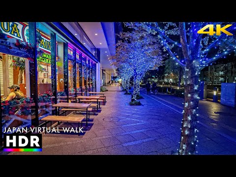 Japan - Tokyo Skytree Tower Christmas Lights Walk to Asakusa • 4K HDR