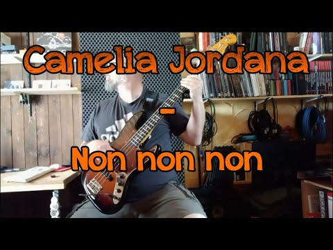 192 Camelia Jordana Non non non bass cover