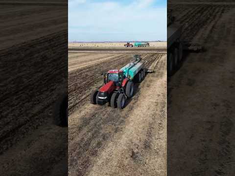 Case Magnum 305! #farmer #farming #fypage #fypシ゚ #fypviral #fyp #fypyoutube #fyptiktok #fypp #fy