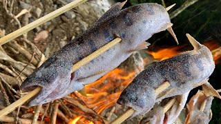 釣ったヤマメを焚火で塩焼きにして八海山をキメるだけの動画