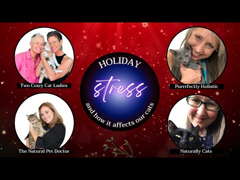 How The Holiday Stress Affects Our Cats | Round Table Dream Team | Two Crazy Cat Ladies