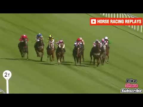 Piranha Rama / 2 Race Ffos las 30 Jul 2024