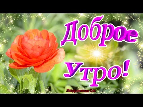 Доброе Утро! Яркого, Удачного дня! Везения! Успеха и Тепла!