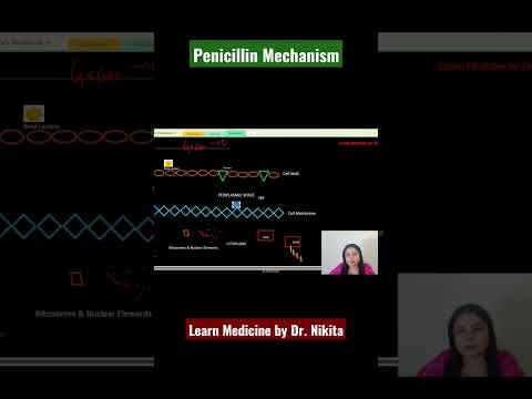 Penicillin Mechanism (Antibiotic) #penicillin #antibioticresistance #antibiotic #drnikita #shorts