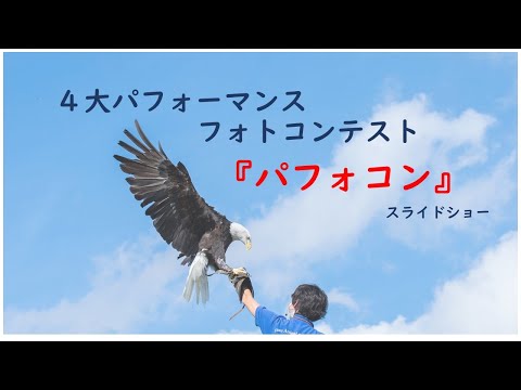 ４大パフォーマンスフォトコンテスト『パフォコン』スライドショー