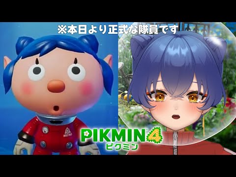 【ピクミン４】今日から正式な隊員です【＃えとなま】