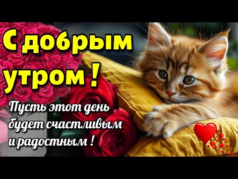 🌞☕Самого доброго осеннего  утра!🍁Благословенного дня!🌞Красивая музыкальная открытка