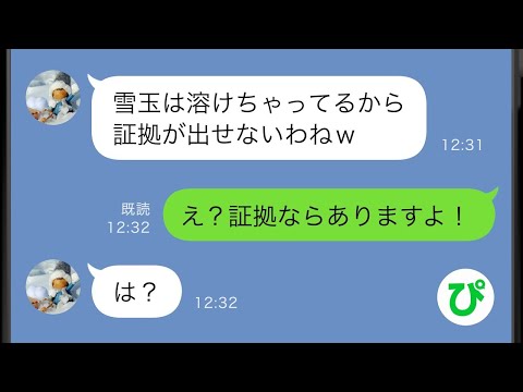 【LINE】生後間もない娘の泣き声がうるさいと娘がいる部屋の窓に雪玉を投げてガラスを割ってきた姑→余裕ぶる馬鹿に証拠を突き付けた時の反応が笑えるw【スカッと修羅場】【総集編】