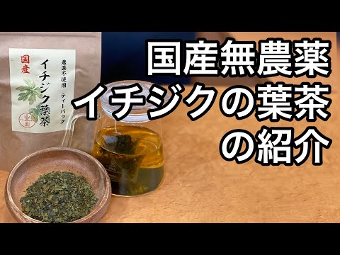 美味しい健康茶の淹れ方　イチジクの葉茶編 （イチジクの葉の説明、紹介）How to make delicious healthy tea, fig leaf tea