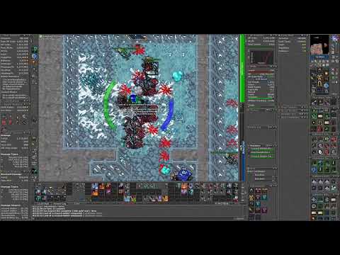 Winter Elves behind TP ~ SOLO MS 250 ~ 3kk raw xp/h