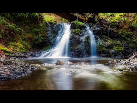 Relax and Restore With Healing Water Sounds