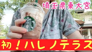 【ハレノテラス】初！東大宮ハレノテラスでStarbucksを飲んだよ&トイプードルトリミング