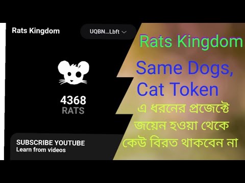 Rats Kingdom Airdrop - Same to same Dogs, Cat - Rats Kingdom Update News