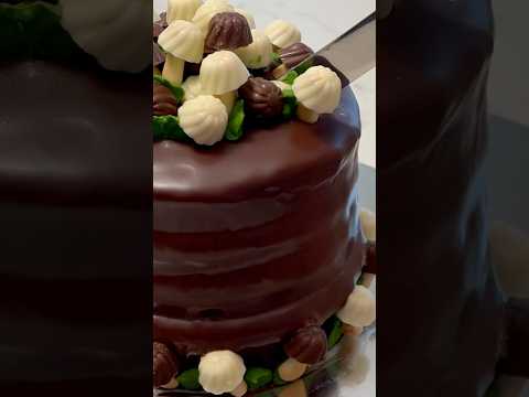 #shorts CHOCOLATE CAKE RECIPE #Satisfying #Chocolate #cake #shortsvideo