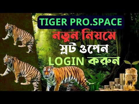 Tiger pro space Login সমস্যা সমাধান