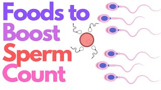 Foods to Increase Sperm Count in Men: Boost Male Fertility Naturally