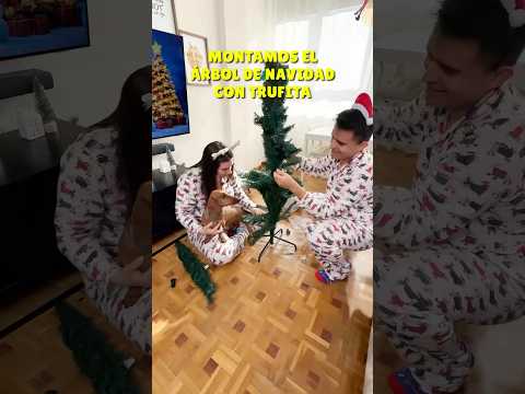 MONTO mi ÁRBOL de NAVIDAD🎄💖