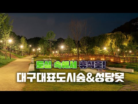 [도심 속에서 숲을 즐겨보세요!] 대구대표도시숲&성당못