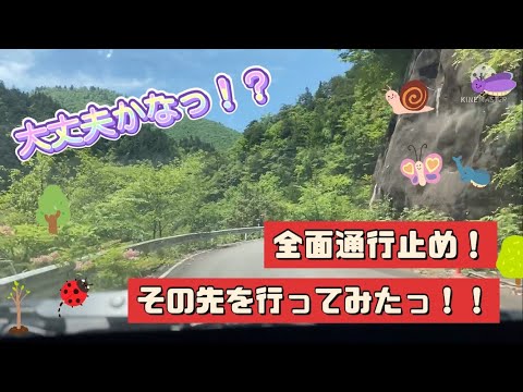 【注意！！】通行止めの先に行ってみたっ！　そこにあったものは・・・　今回は、愛犬・ラッキーも登場！！