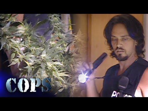 Chesapeake Police Raid Marijuana Grow House | Cops TV Show