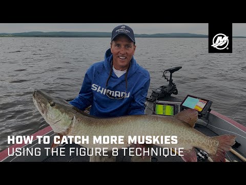 How to Catch More Muskies Using the Figure 8 Technique