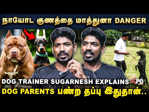 நாய்களுக்கு இதெலாம் சாப்பிட குடுக்க கூடாது... Dog Parents கவனத்திற்கு..! | Dog Trainer Sugarnesh |