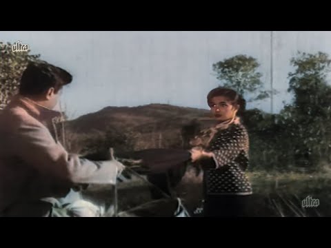 60s Romantic Song | Lata Mangeshkar And Mohammed Rafi Song | Sau Saal Pahale Mujhe Tum Se Pyaar Tha