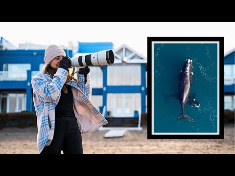 How to sell your PHOTOGRAPHY PRINTS in 2024 | using Printify