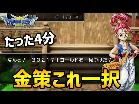 【ドラクエ3リメイク】実録一瞬で30万G金策の極み「ドラゴンクエスト3リメイクHD-2D」【金策/職業/経験値/レベル上げ/キャラ育成/たね集め】#DragonQuest