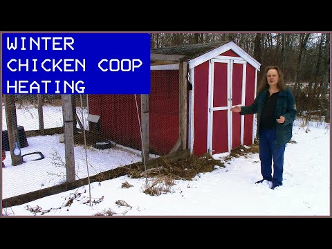 Frosty Feathers DIY Keeping Chicken Coop Warm with Easy Digital Tech