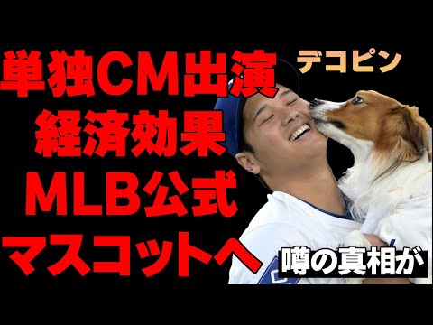 大谷の天才犬・デコピンがMLBの公式マスコット化！？単独CMデビューで衝撃の姿に…凄まじいデコピンブームで起こる経済効果がヤバすぎる…