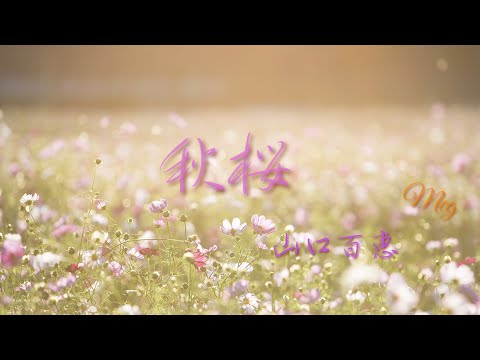 ｢秋桜｣  山口百恵 カバーMeg