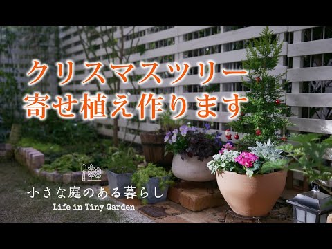 ガーデニング ｜昨年のコニファーで寄せ植えクリスマスツリーを作ります｜ 〜小さな庭のある暮らし#99〜Gardening ｜ Life in a tiny garden