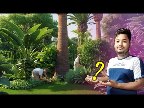 মাঠ ভরে গেছে ঘাসে | এমন দৃশ্য আগে দেখেছেন? | Mahid Dream Zoo