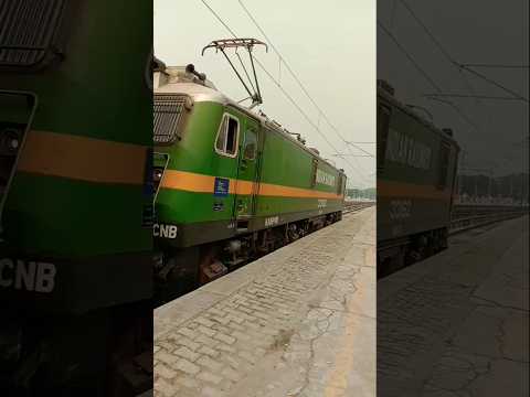 14235 वाराणसी बरेली एक्सप्रेस ट्रेन। Wag9 Powerful Locomotive Crossing#uniquetrainengines#shortsfeed