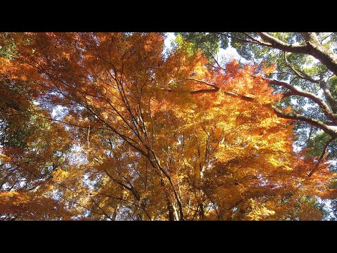 怒塚山～金甲山