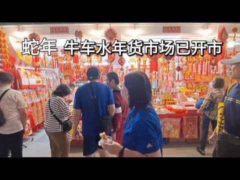 新加坡牛车水蛇年年货市场已开市/Singapore Chinatown Year of Snake