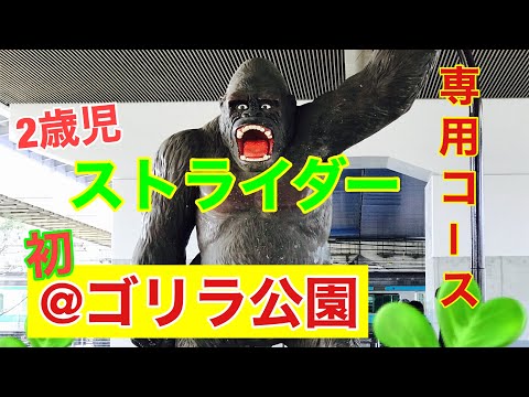 無料開放！BMX専用コースをストライダーで遊べる！【子供の笑顔が見れるスポット】