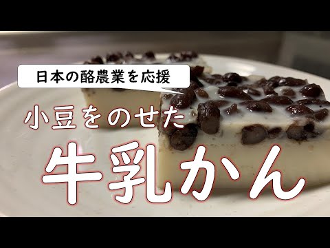 【日本の酪農業を応援】甘い小豆をのせた「牛乳かん」